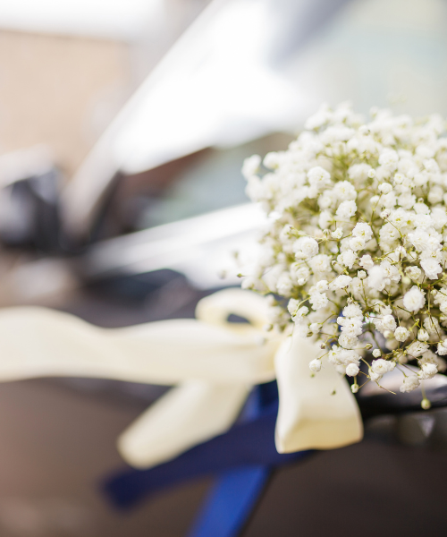 A bouquet of baby's breath sits on a table